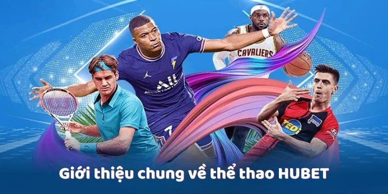 Sảnh thể thao Hubet với nhiều trải nghiệm đắt giá hàng đầu